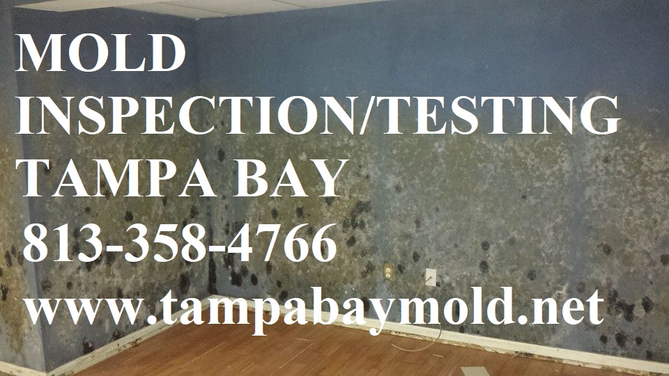 Business directory image